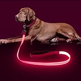 Colaseeme 犬 リード 光る 犬散歩ライト ledリード 小型、中型、大型犬用リード 1.2m 夜間 USB充電式 リードライト付き 視認距離500m (ピンク, 120cm)