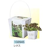 アーテック ベジコンテナ 102945 レタス