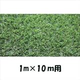 クローバーターフ　レギュラータイプ　人工芝：30mm　1ｍ×10ｍ　CTR30 グリーン