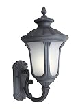 Woodbridge Lighting 61024WL-BKP Westbrook 1-Light Outdoor Wall Sconce, Powder Coat Black, Large [並行輸