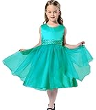 (ラボーグ)La vogue 子供ドレス ガールズワンピース リボン付き お姫様 結婚式 欧米風 発表会 入園式 演奏会 パーティー ふわふわ 無地 (100, Bグリーン)
