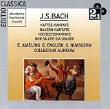 �R�[�q�[,�_��,�����J���^�[�^