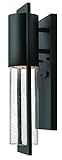 Hinkley Lighting 1326BK Shelter Outdoor 1-Light Lantern [並行輸入品]