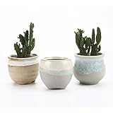 T4U 6CM 陶器鉢 流れ釉（3シェイプ）セット 灰底 植木鉢 多肉植物 サボテン鉢、花鉢 容器 ミ二植木鉢 3個入り