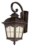 Trans Globe Lighting PL-5429 AR Antique Rust Outdoor Wall Light [並行輸入品]
