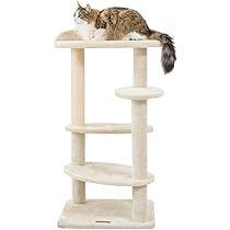 41bdAccqhaL._AC_UL210_SR210,