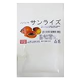 パパイヤ 種 【 サンライズ 】 種子 20ml(約200粒）