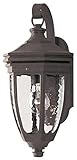 Westinghouse Lighting 6985200 One-Light Exterior Wall Lantern, Textured Rust Patina Finish on Cast A