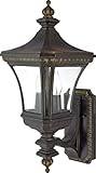 Quoizel DE8959IB Devon 21-Inch x 9-Inch 2 Light Outdoor Wall Fixture, Imperial Bronze by Quoizel [並行