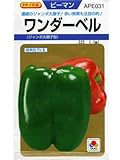 ピーマン　ワンダーベル　タキイ交配　　（グリーンデポ）