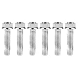 Ruifu M6 オートバイ 小さい頭フランジ 六角ボルト 15 20 25 30 35 40 45 50 55 60 65 70 75 80 90 mm ピッチ 1.0mm 6個入り (M6x25mm, チタン)
