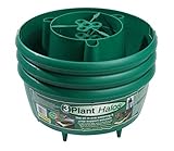 High Quality GP167G Green Plant Halos (Pack of 3)