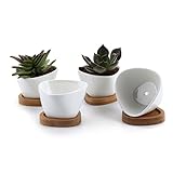 T4U 8CM 陶器鉢 白 不規則三角形デザイン 植木鉢 多肉植物 サボテン鉢 竹トレイ付き 4個入り