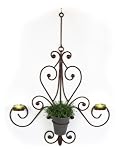 Plastec Products P55 WD205DB Chandelier - Dark Bronze