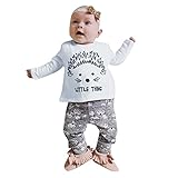 AmazingDeal 子供服 男女兼用 ベビー服 ルームウェア 長袖 春秋 冬服 ハリネズミ 上装下装2点綿製品 ハリネズミ トップス ロングパンツ 衣装 (90（9~12ヵ月）)