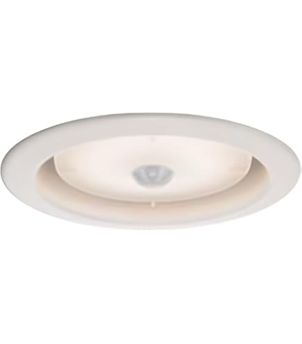 Amazon.co.jp: 大光電機(DAIKO) 人感センサー付ダウンライト LED