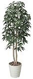 TREE-h/インテリアグリーン 造花 光触媒 鉢植え パキラツリー160cm 170A30014
