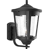 Progress Lighting P6075-31 Contemporary/Soft 1-100W Med Wall Lantern, Black [並行輸入品]