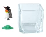 花市場直送便 ミニチュアガラス キングペンギン & カラーサンド グリーン & 植え込み用グラス ニューブロックS