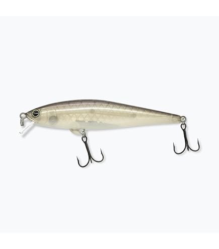 Amazon.co.jp: レヴォニック（REVONIK） サラモア （SARAMOA