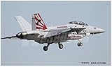 ハセガワ 1/72 アメリカ海軍 EA-18G グラウラー VAQ-141 シャドウホークス 2017 プラモデル 02250