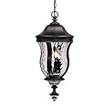 Savoy House Lighting KP-5-302-BK Monticello Collection 3-Light Outdoor Hanging Entry Lantern, Black 