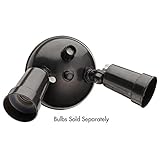 Lithonia Lighting OFTH 300PR 120 P BZ M12 Twin Par Holder Dusk to Dawn Outdoor General Purpose Flood