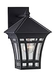 Sea Gull Lighting 88132-12 Herrington 1-Light Outdoor Wall Lantern with Clear Seeded Glass, Black Fi