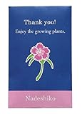 Thank you seeds ナデシコ