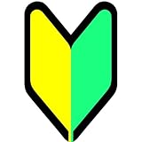 ヘルメット用ステッカー 893-B