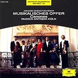 ���y�̕�������