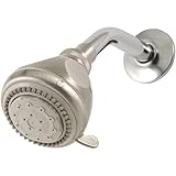 Waxman 8676200 Body Moods Showerhead, Brushed Nickel by Waxman