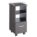 ＜ FV ＞ BISICネイルワゴン ( トールサイズ ) ブラウン 幅32.5cm×奥行37.5cm×高さ78cm [ エステワゴン ネイルワゴン キッチンワゴン マルチワゴン サイドワゴン キャスター付き サイドラック 収納ラック 収納