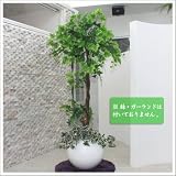人工観葉植物 光触媒 ブドウの樹 170cm