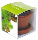 タイニィタイニィプラント レタス