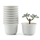 T4U 9CM プラスチック植木鉢 ラウンド 多肉植物 サボテン鉢 フラワーポット プランター容器 白 10個入り