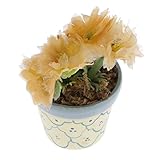 Baoblaze かわいい　人形用　1/2スケール　ドールハウス　飾り　ミニチュア　イエロー　キク花　ポット