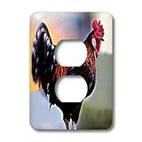 3dRose lsp_542_6 Rooster - 2 Plug Outlet Cover [並行輸入品]