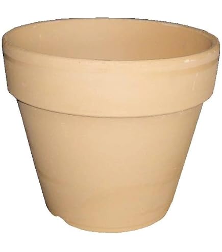Amazon.co.jp: 鉢 三河焼 KANEYOSHI 【日本製/安心の国産品質】 陶器