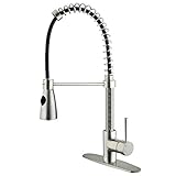 VIGO Brant Single Handle Pull-Down Spray Kitchen Faucet with Deck Plate, Stainless Steel [並行輸入品]