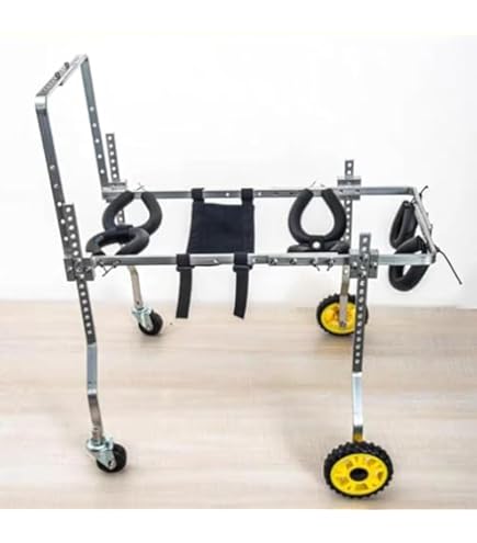 Amazon.co.jp: 犬用4輪車椅子 歩行器 8キロ以上 15キロ未満 オーダー 