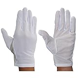 ウインセス 【防塵手袋 / 掌PVCラミネート】 10双 (LL)