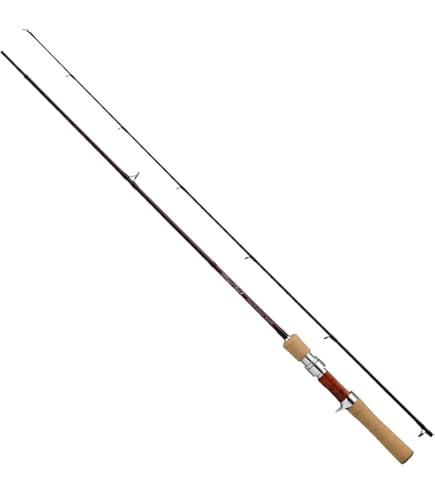 Amazon | ダイワ(DAIWA) ネイティブトラウトロッド シルバークリーク 