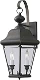 Forte Lighting 1371-02-14 Exterior Wall Light with Clear Beveled Glass Shades, Royal Bronze [並行輸入品]