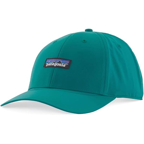 Amazon | [パタゴニア] BAGGIES BRIMMER バギーズ ブリマー FGE