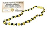 Baltic Amber Teething Necklace for Babies (Unisex) (Honey Multi Cherry Black Red Milk White Butter Y