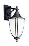 Design House 517797 Ironwood 1 Light Outdoor Light Fixture, Brushed Bronze Finish with Snow Glass [並
