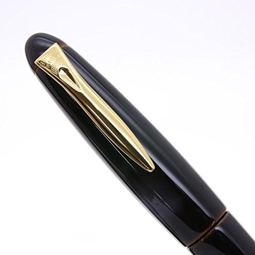 Platinum Izumo reservoir painted fountain pen loquat pool B (bold) eBay
