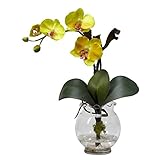 Nearly Natural 1277-YL Mini Phalaenopsis with Fluted Vase Silk Flower Arrangement, Yellow [並行輸入品]