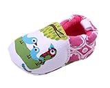 GoGokids かわいい ベビーシューズ  ファーストシューズ 子供 靴 赤ちゃん 滑め防ぐ靴 室内履き ルームシューズ ソフトソール 出産お祝いプレゼント (13cm, 鳥柄)